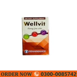 Wellvit Tablets
